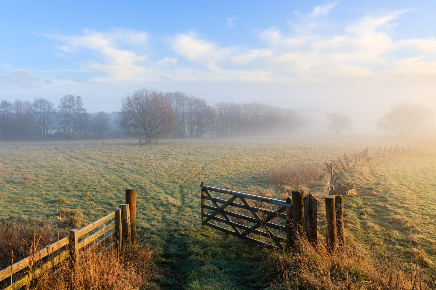 Open gateway on a misty morning  © Felicity Martin