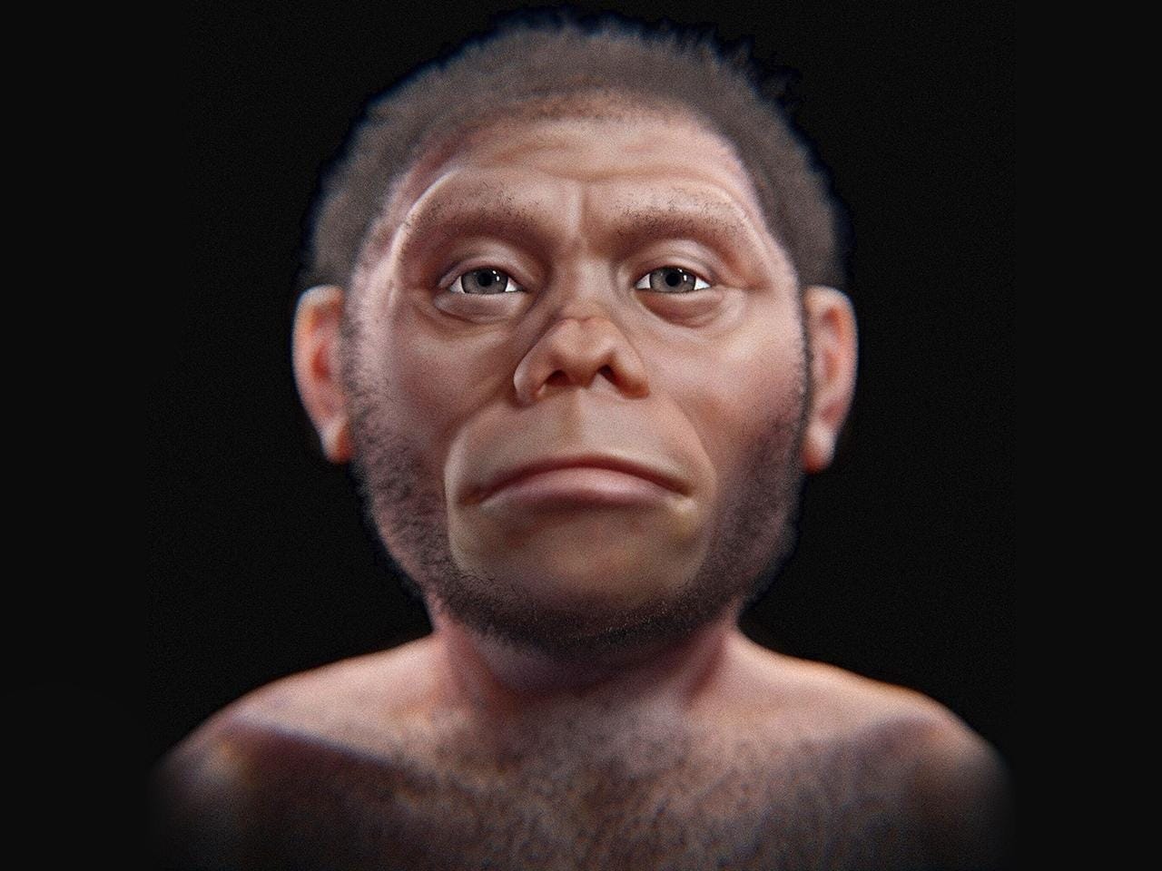 Homo juluensis: Scientists discovered a new species of ...