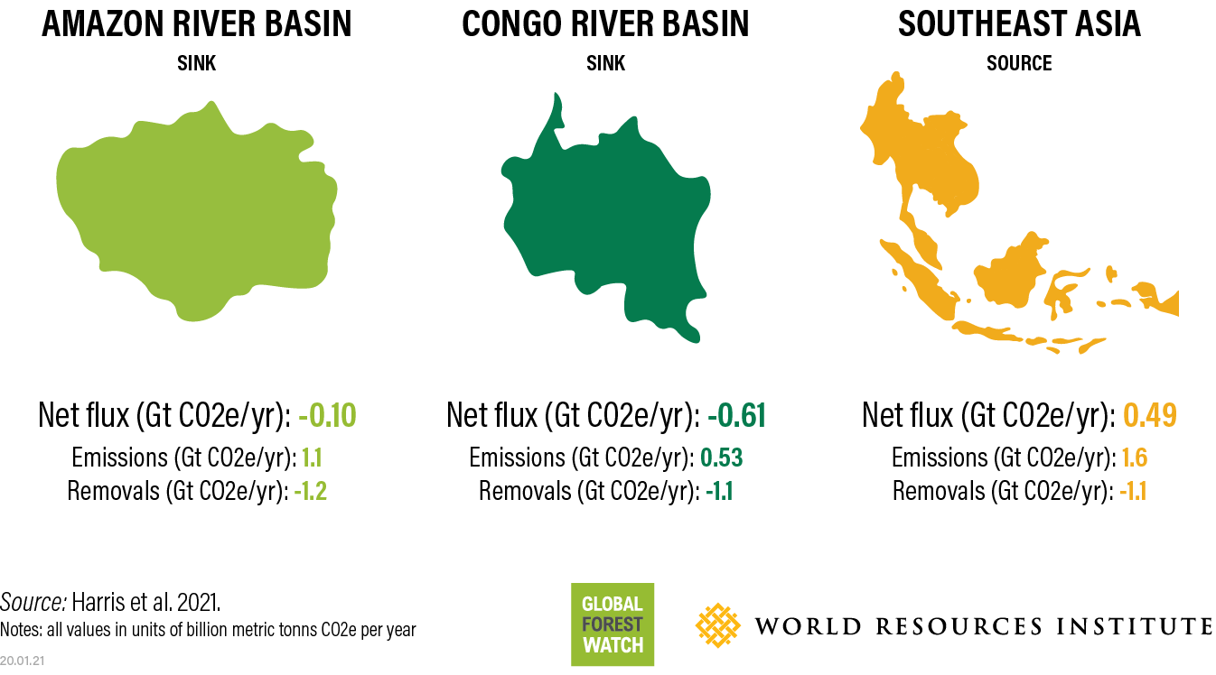 Graphic of Amazon, Congo and Sotheast Asian rainforests carbon profiles. Only the Congo is a strong sink. SE Asia is an emitter, and the Amazon may have become an emitter since this graphic was published in 2021.
