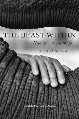 Cover image of The Beast Within