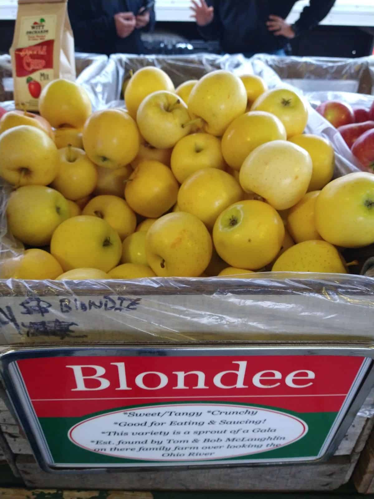 A bin at a farmers market of Blondee apples