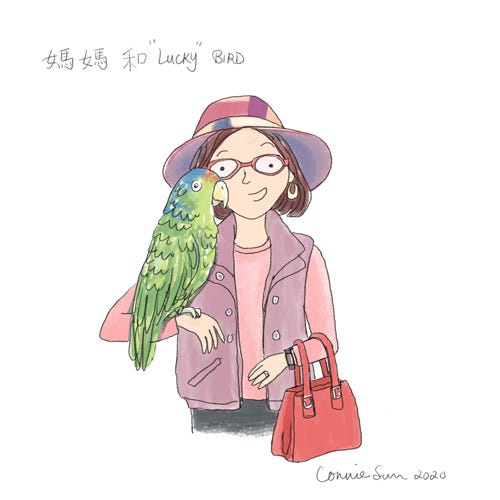 sketchbook: mother's day drawing sketchbook, illustration, wild parrot, parrots, animals, drawing, connie sun, cartoonconnie