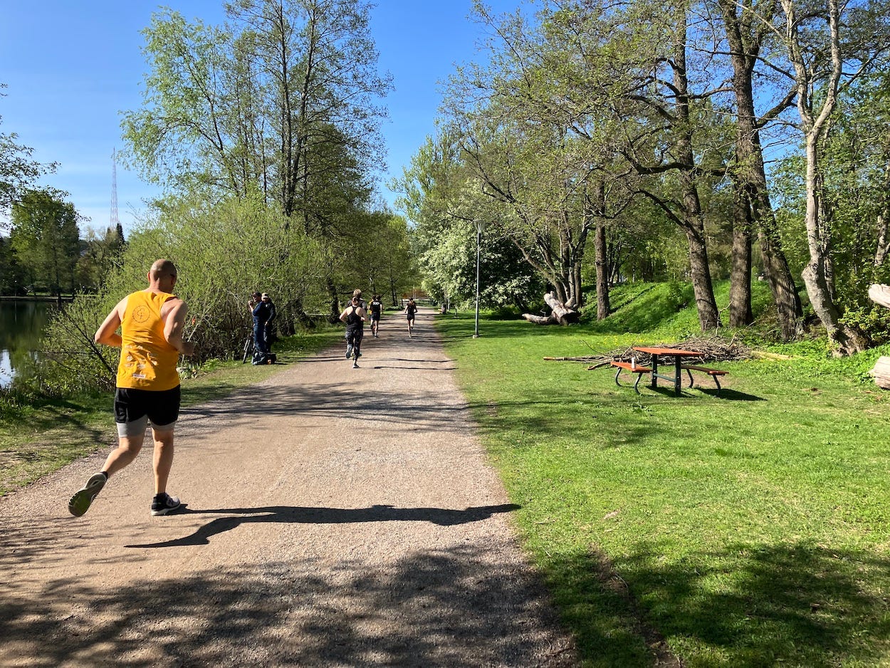 A path bordered by trees next to a lake