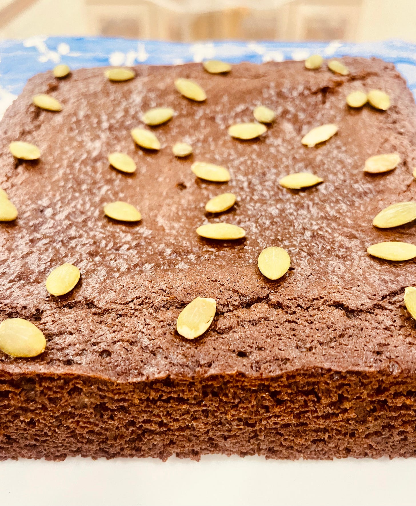 A brown chocolate cake with sprinkled pumpkin seeds.
