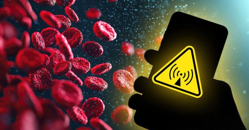 blood clumping and cellphone with radiation symbol
