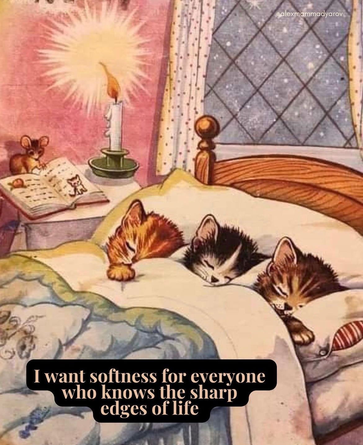 3 illustrated kittens sleeping in bed, with text that reads "i want softness for everyone who knows the sharp edges of life."