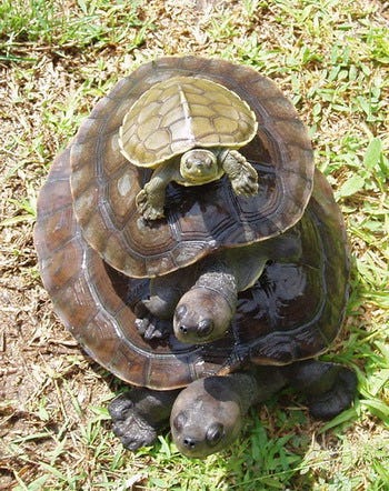 Turtles all the way down - Wikipedia