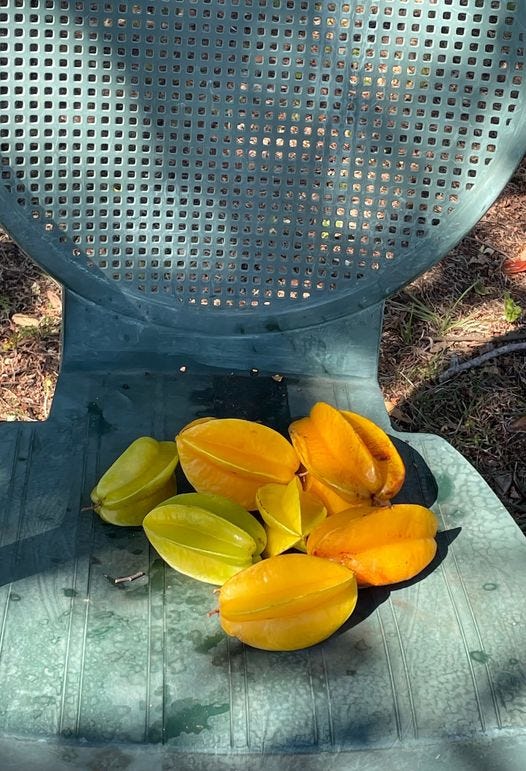 Star fruit on a blue plastic chair