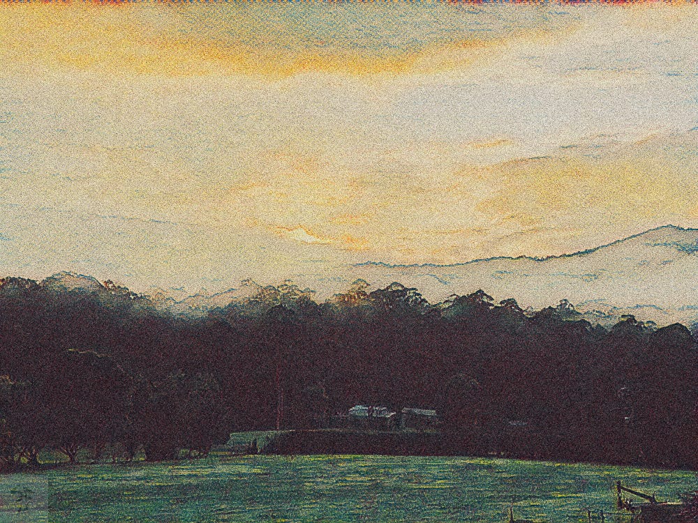 Digital 'watercolour' landscape: misty dawn over dark trees, Upper Yarra Valley, winter