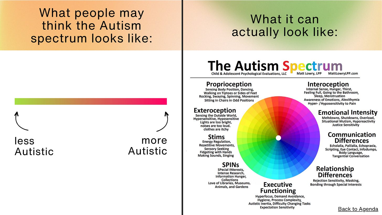 A visualization of the Autism spectrum by Matt Lowry.
