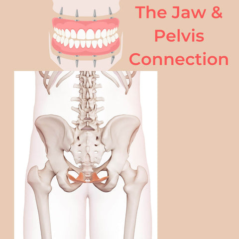 The Connection Between Your Jaw and Pelvic Floor | Secret Whispers