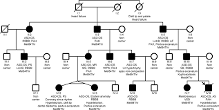 recurrent cardiopathies. Squares ...