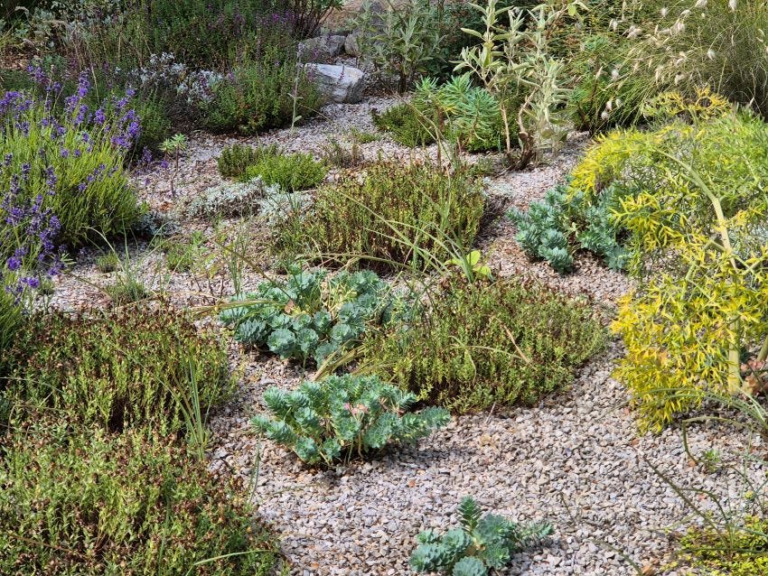 Delos at Sissinghurst Castle, copyright Anne Wareham