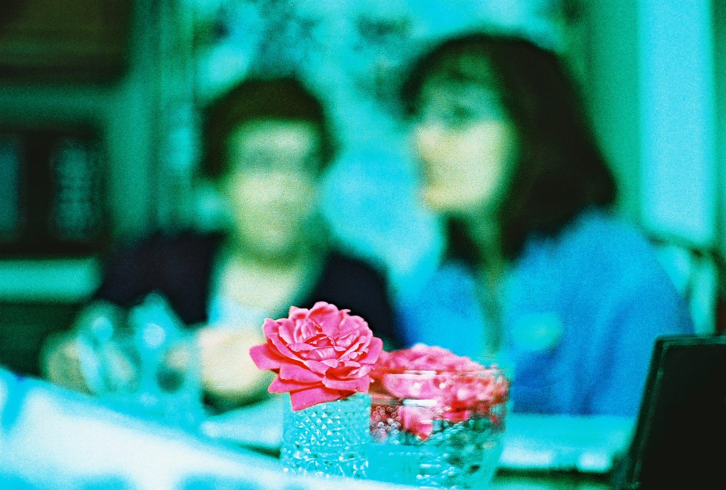 A close-up of two pink roses sitting in clear glasses, with people talking way out of focus in the background.