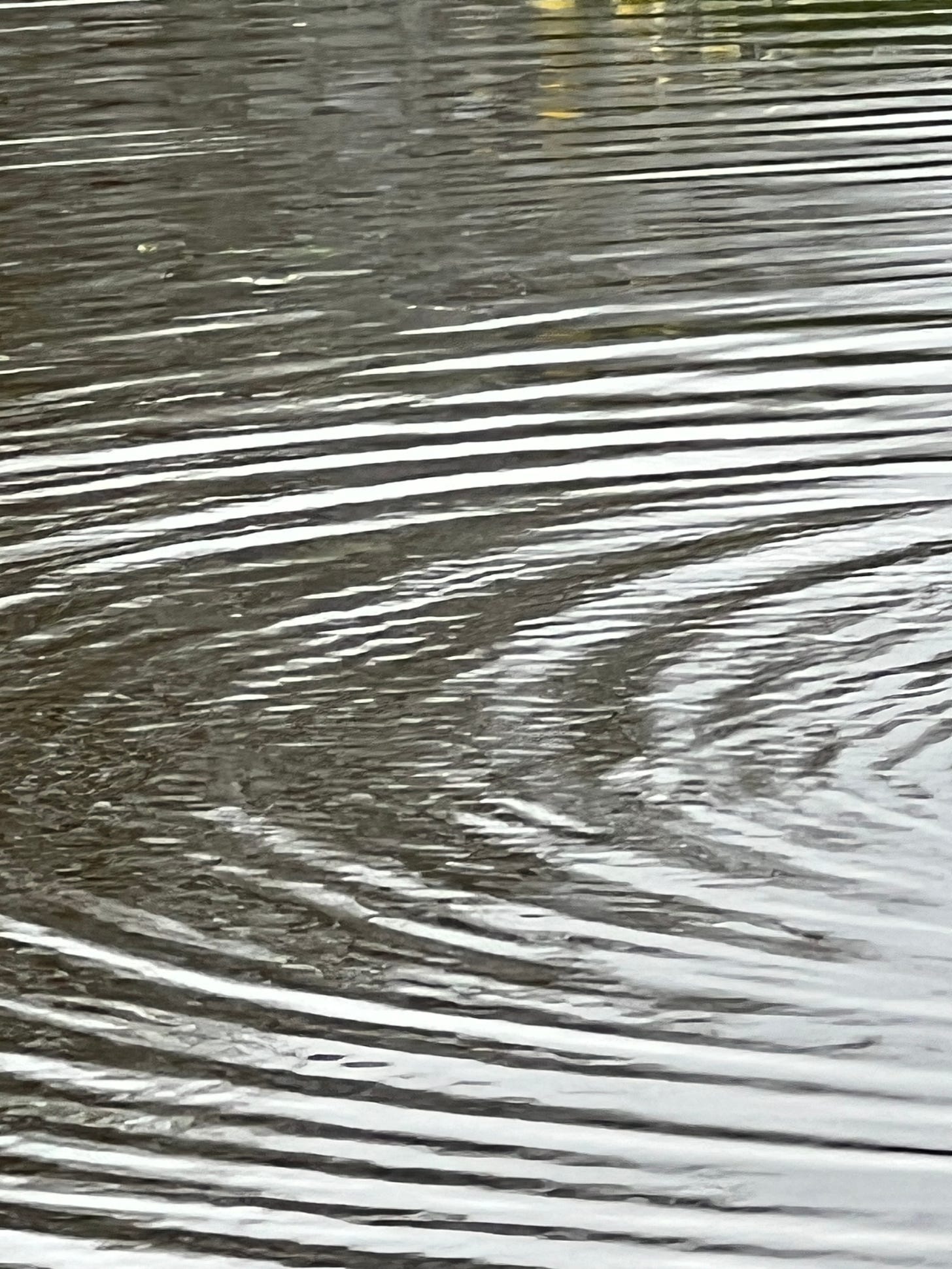 to my solution to combat pain