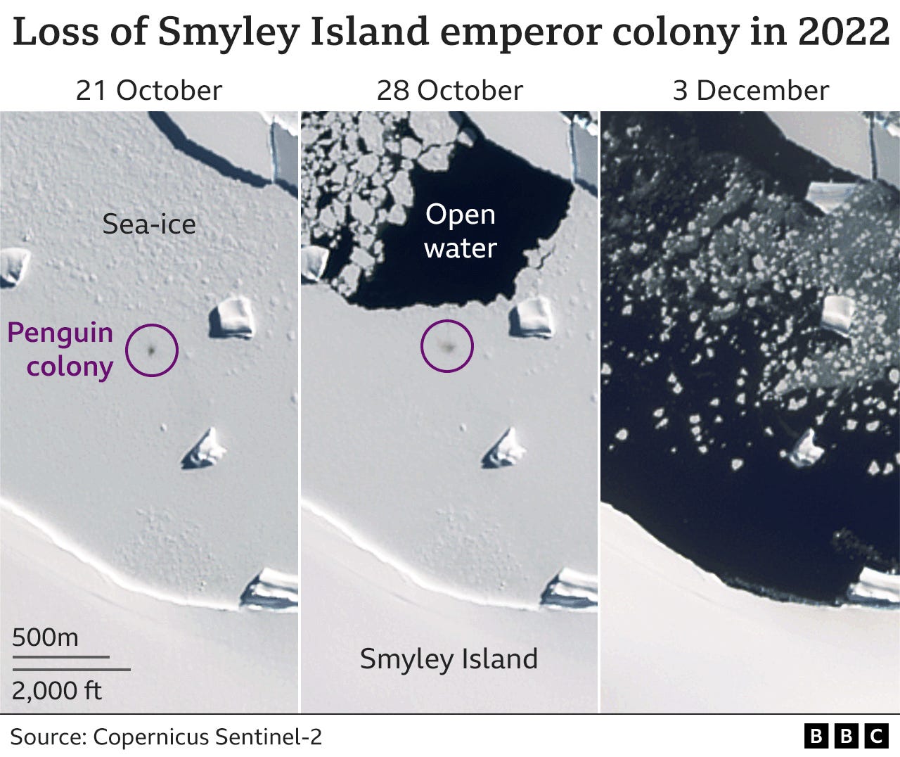 Smyley Island loses its ice in satellite images