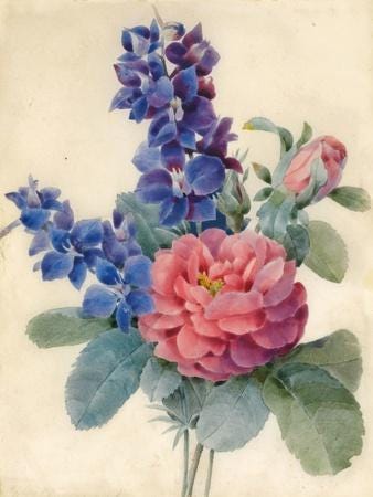Flowers, Roses and Larkspur' Giclee Print - Camile de Chanteraine |  AllPosters.com