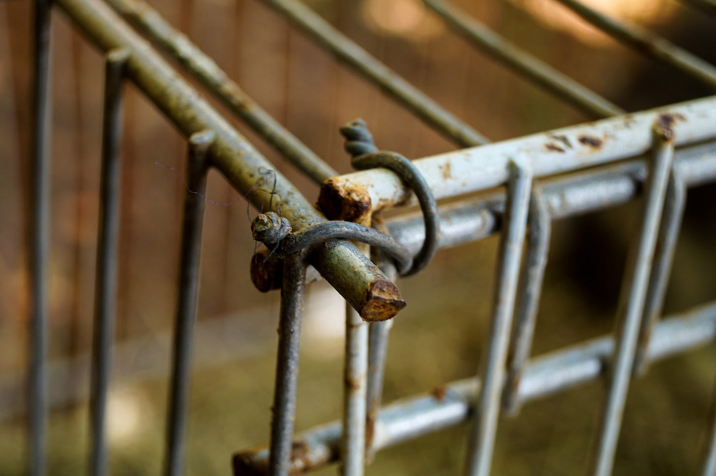 Corner of a rusted metal cage