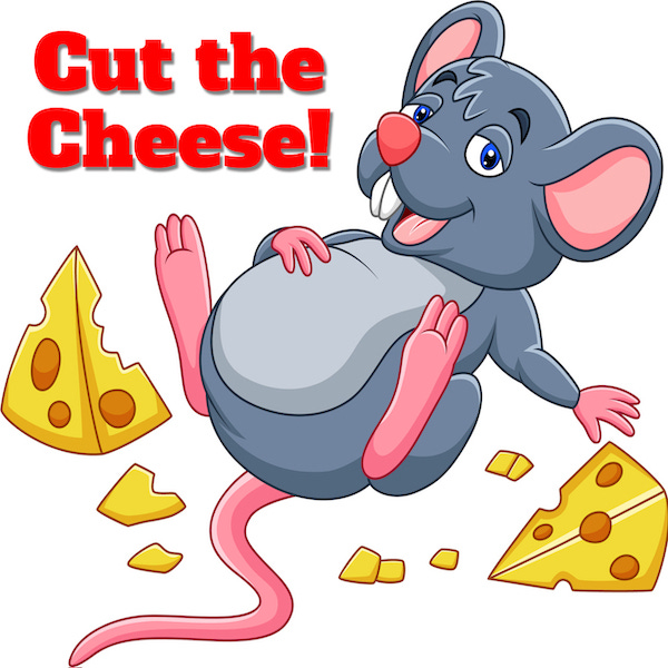 This image has an empty alt attribute; its file name is mouseandcheesethumbnail.jpg
