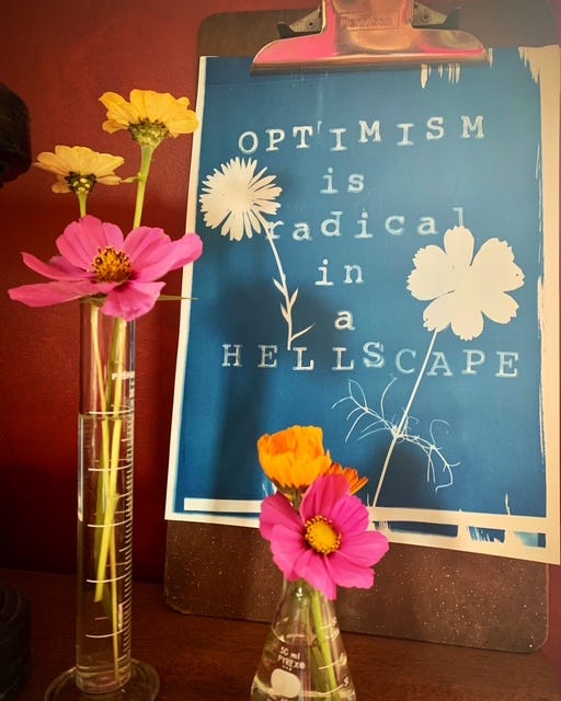 flowers in two beakers in front of a poster that says Optimism is radical in a hellscape