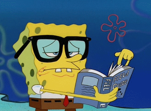 Gif of sponge Bob Short Pants reading a book with thick black glasses