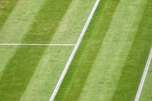 close-up of a grass tennis court - tennis grass stock pictures, royalty-free photos & images