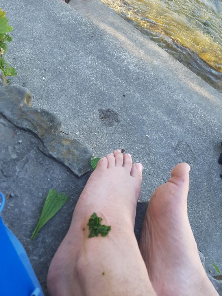 nackte füße, daneben ein blatt, auf dem einen fuß matschige kräuter. beton, in der ecke wasser eines flusses