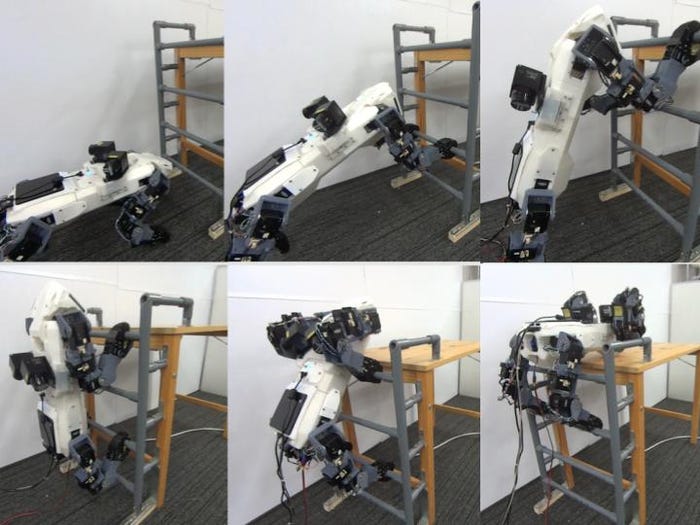 Watch: This Robot 'Dog' Can Climb Ladders, a First for Four-Legged Robots -  Business Insider