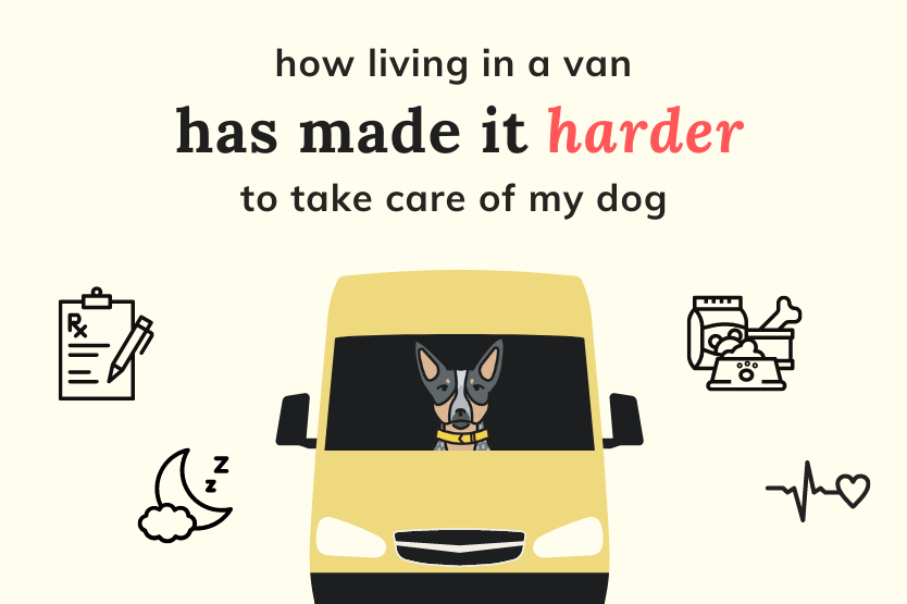 How living in a van has made it harder to take care of my dog text sits above an illustration of a blue heeler in a yellow camper van