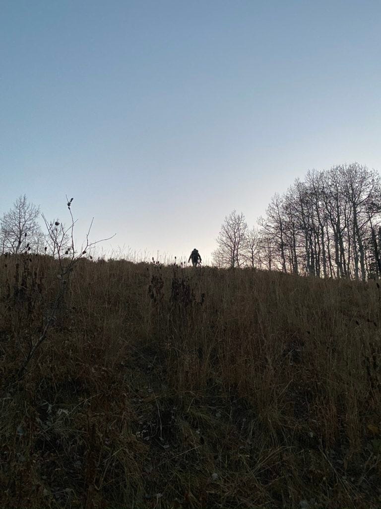 Image of a person outlined on the horizon of a hill covered in yellow tall grass that the camera is angled to look up at. The person is carrying a bow.