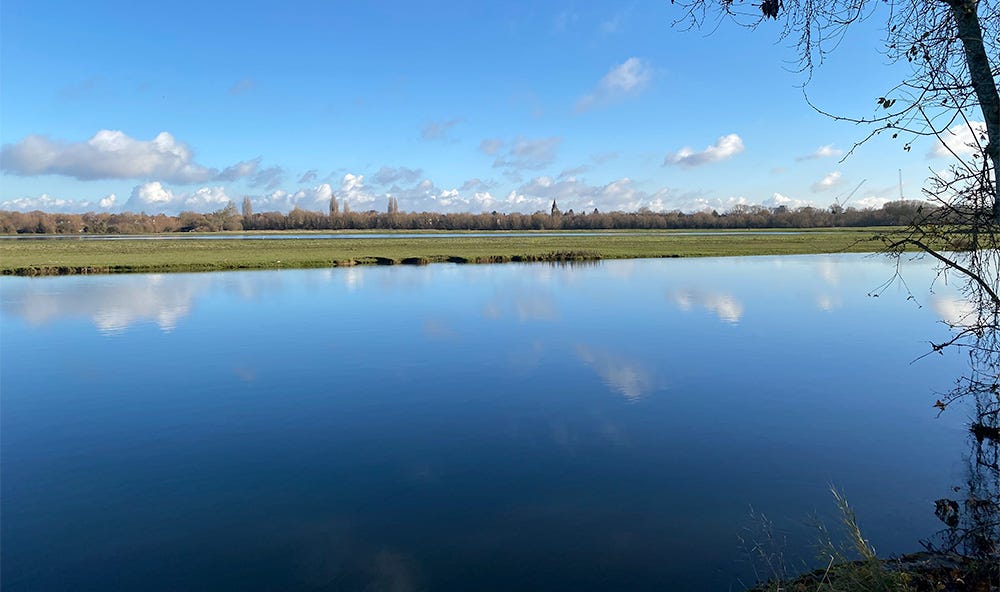 A photograph of Port Meadow Oxford by Adam Westbrook
