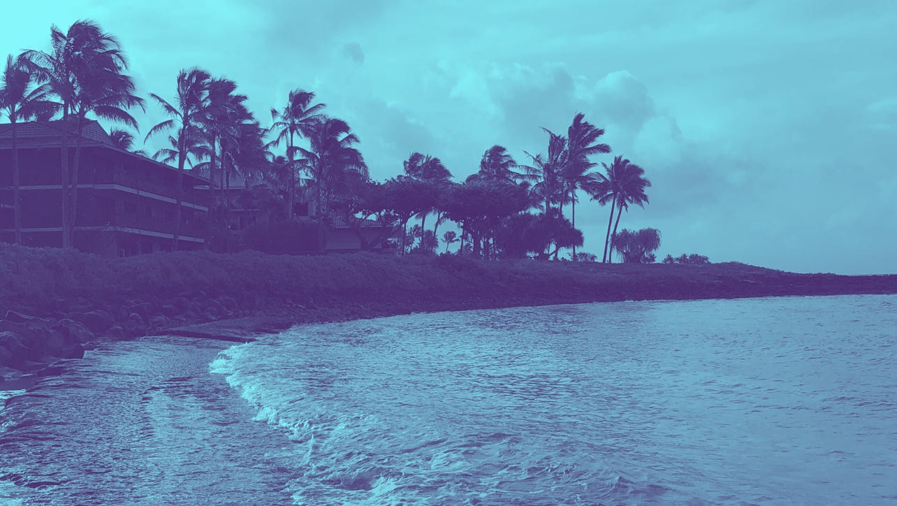 A picture of a wave crashing onto a beach, palm trees waving in the distance. The picture has been edited into two tones of blue.