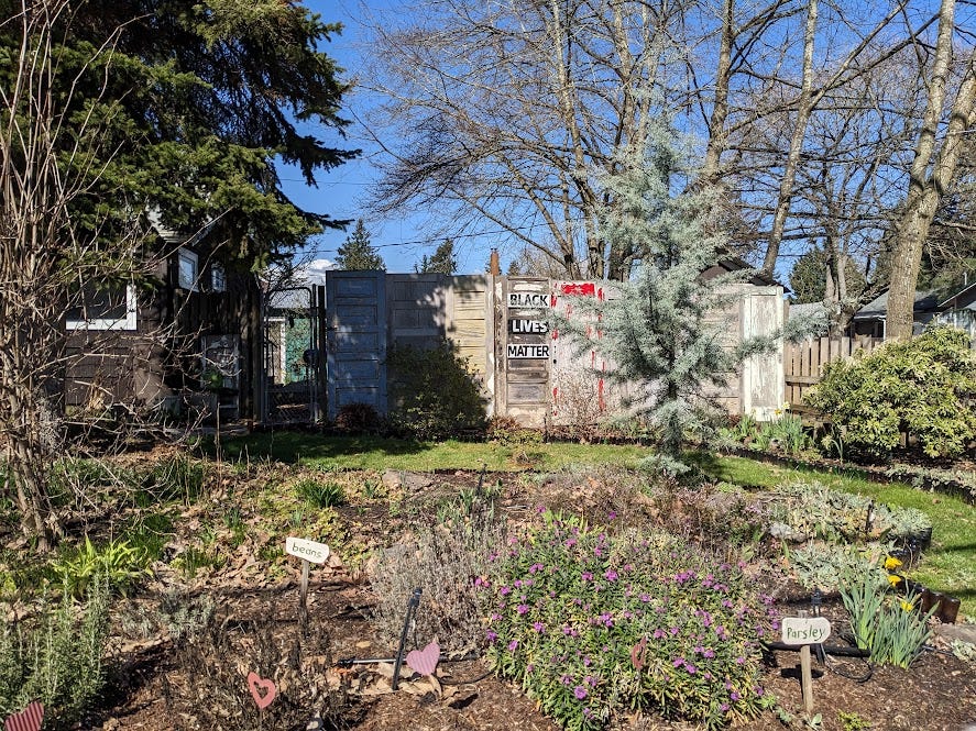 se portland garden with black lives matter sign and herbs