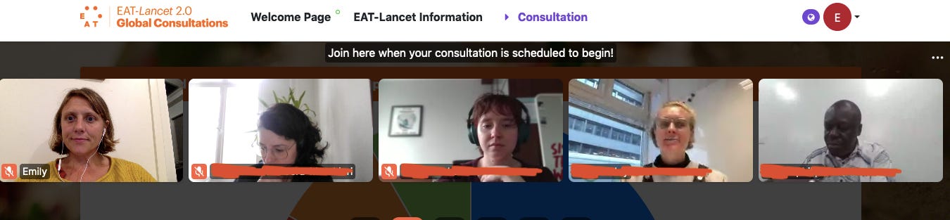 Screen shot of an online consultation that shows five people taking part in the online video call. They are sitting looking at their computers. Names are struck through in orange line. 