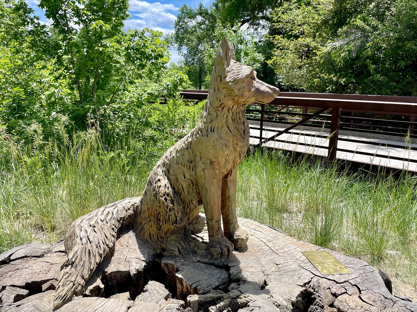 A fox sits on a tree stump. The fox is carved from the tree stump. In the two other pictures, we see a carving of a menagerie of wildlife, including three bear cubs and a blue heron, carved from the dead tree itself. The tree is on its side and has been carved into this highly decorated bench. 