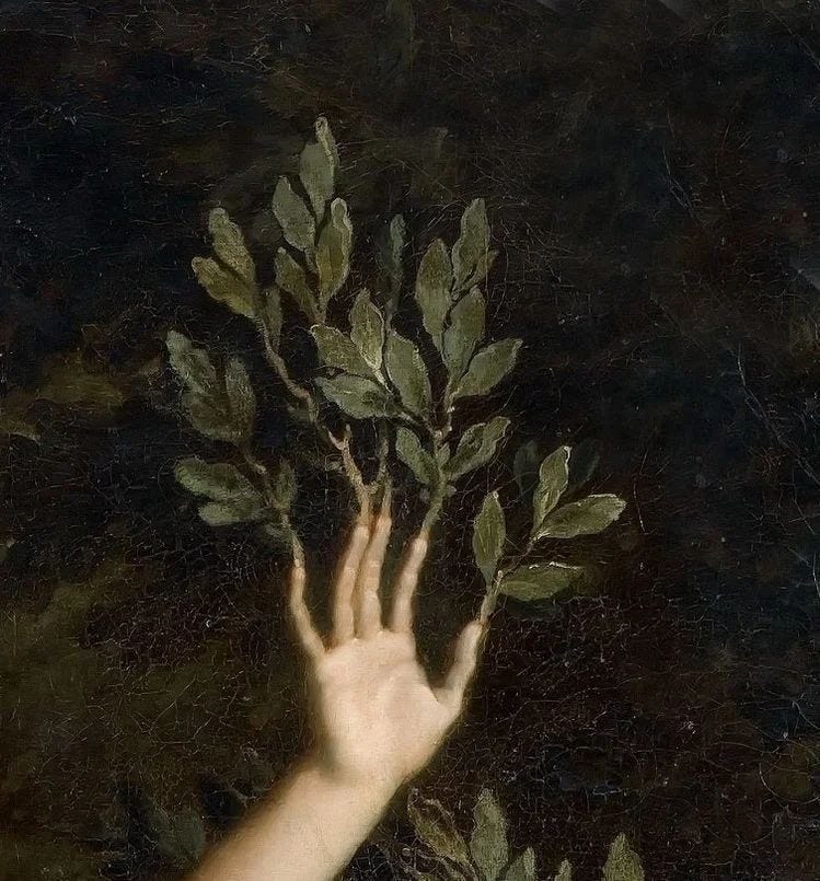 An Instagram  post added by contrjour on May 23, 2024. The author is @smilingbeetroot. May present: rene antoine houasse apollo pursuing daphne, apollo and daphne, plant, branch, gesture.