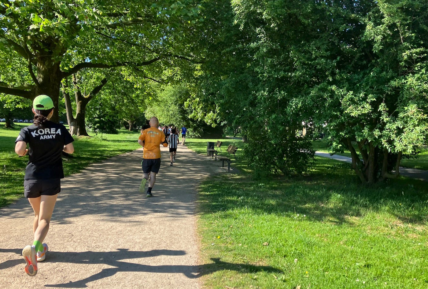 Bright sunshine on grassy verges and tree covered paths