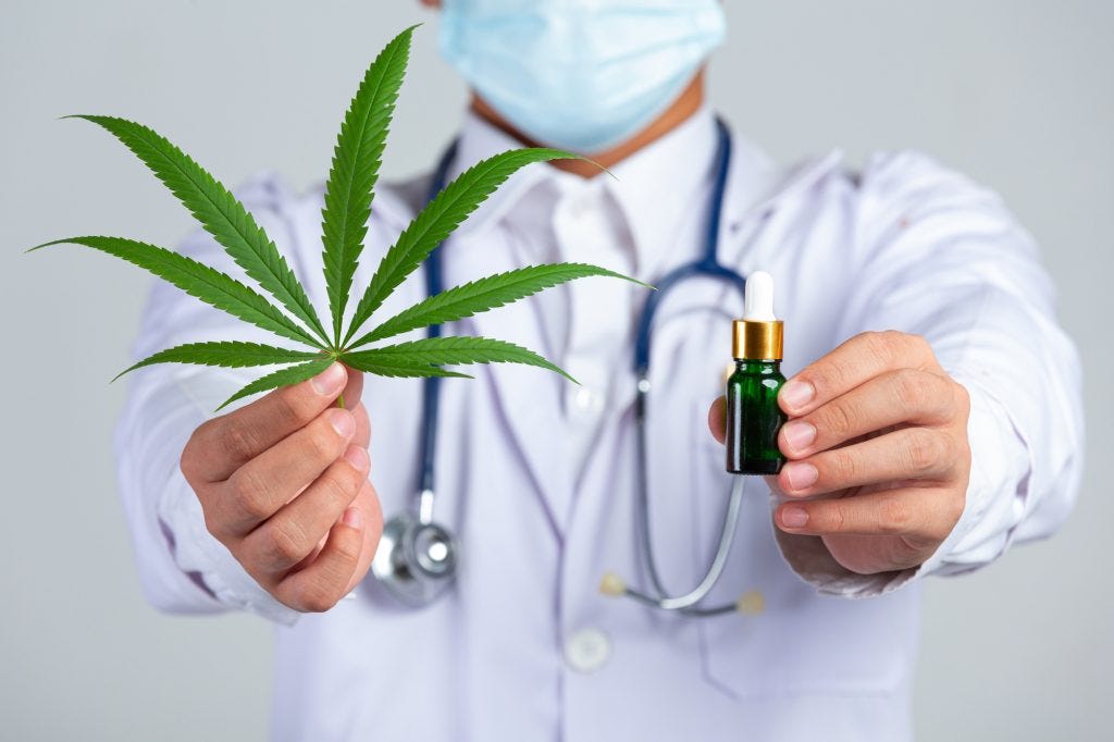 Cannabis medicinal no Brasil: 'estamos indo ao contrário do que todos  países vêm fazendo' – Jornal do Campus