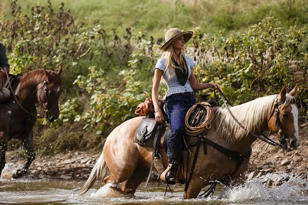 The young woman Elsa Dutton, main character of the series “1883,” rides her light-colored Palomino mare “Lightning” through a shallow river with a determined look on her face. The rider wears a wide-brimmed hat, a light-colored top, and dark pants—a typical Western outfit. The scene is set in wild nature with tall grass and bushes and conveys a sense of adventure and freedom. The young woman Elsa Dutton, main character of the series “1883,” rides her light-colored Palomino mare “Lightning” through a shallow river with a determined look on her face. The rider wears a wide-brimmed hat, a light-colored top, and dark pants—a typical Western outfit. The scene is set in wild nature with tall grass and bushes and conveys a sense of adventure and freedom.