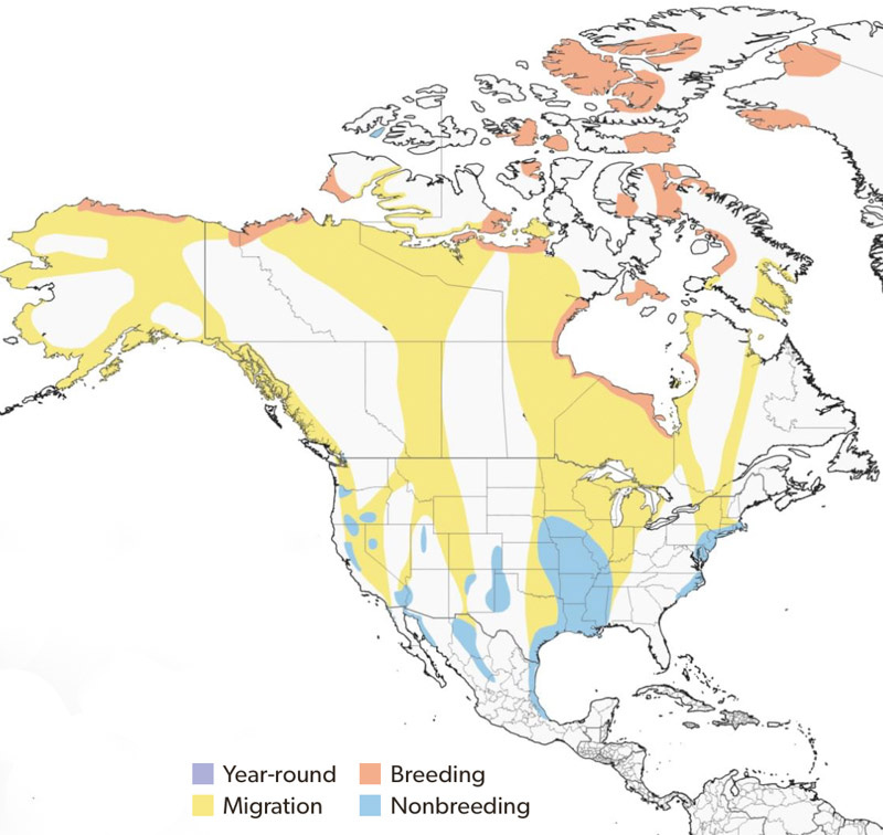 20241224-map.jpg