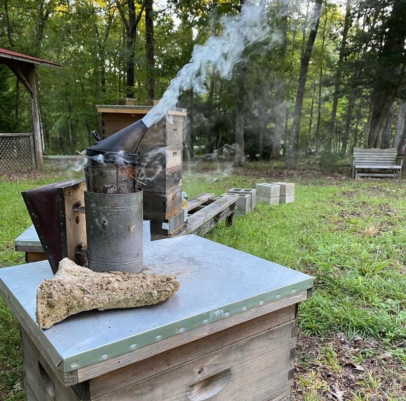 bee smoker on top of hive next to two hives