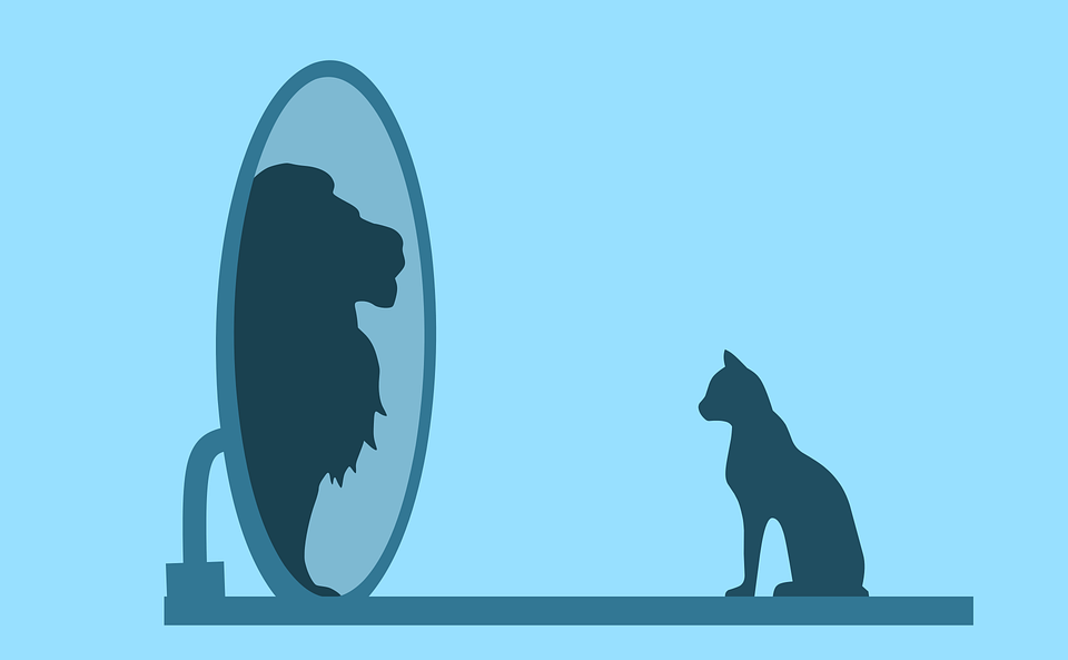 Free Cat Mirror vector and picture