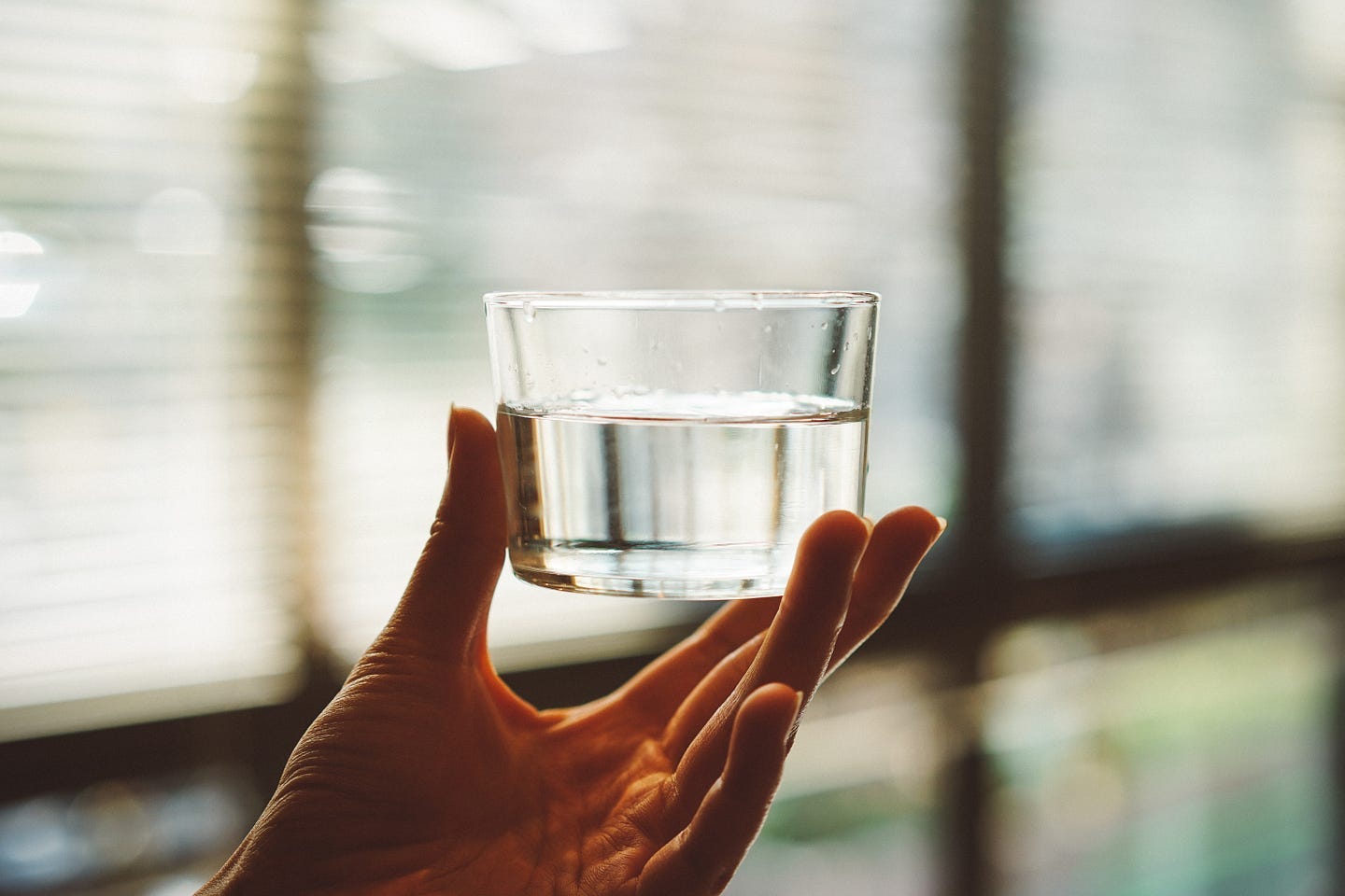 small glass of water held up in front of a window