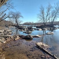 May be an image of body of water and tree