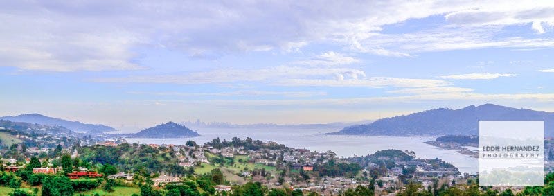 Tiburon, Belvedere Panoramic Photo