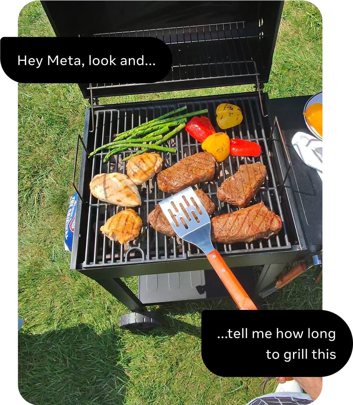 A photo of grilling, with captions asking an AI assistant for cooking help
