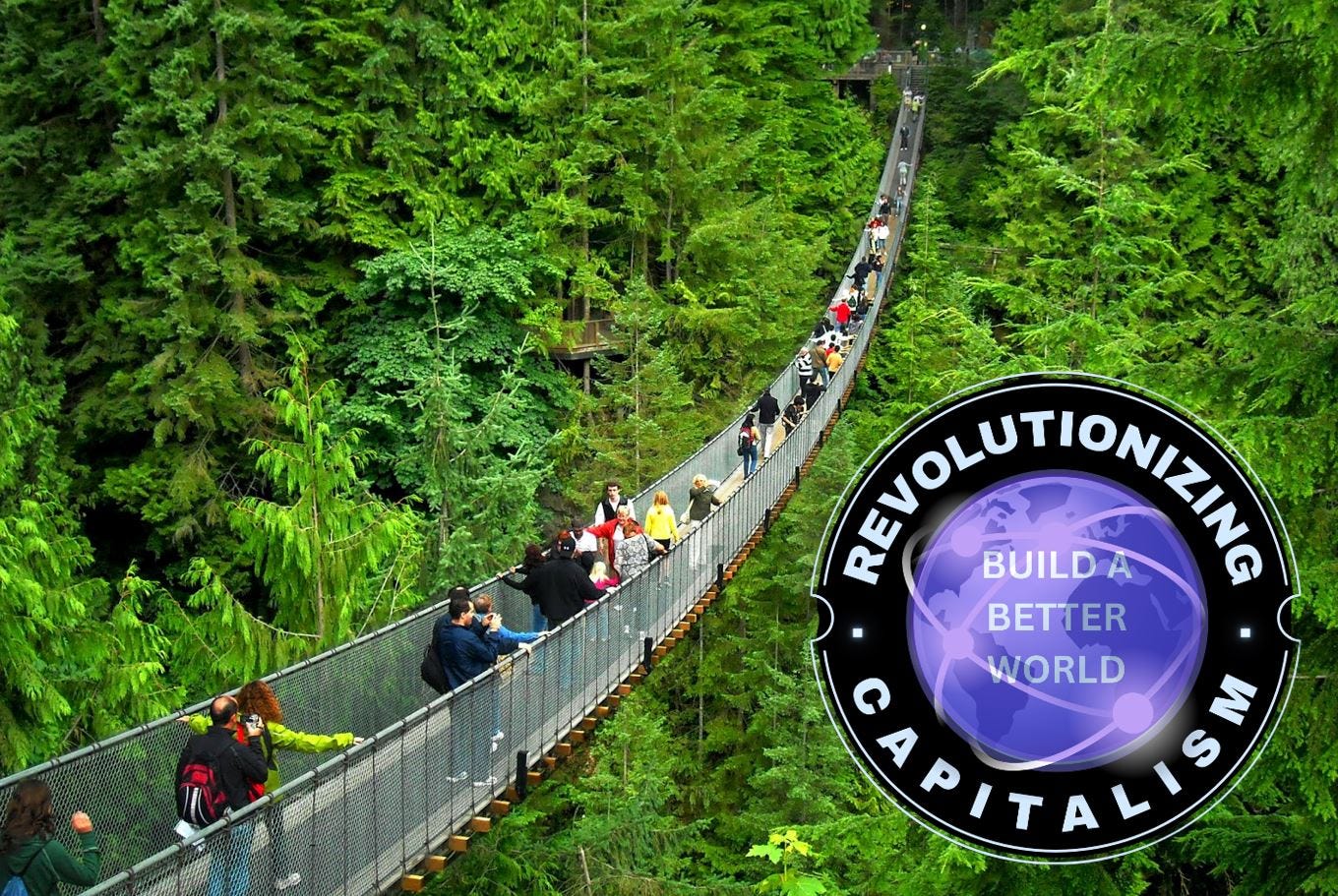 A bridge spans above the lush forest canopy in Vancouver, symbolizing connection and progress.