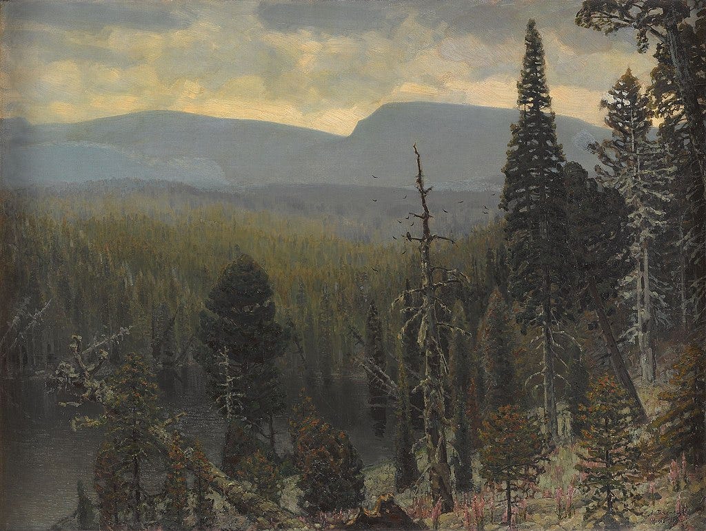 Boreal forest in the Ural mountains (1890)