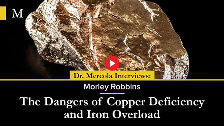 Dangers of Copper Deficiency and Iron Overload