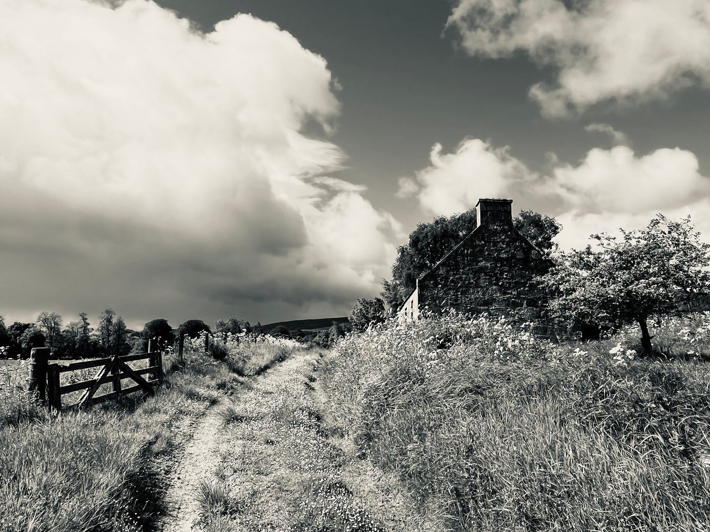 A grassy lane leads up to an abandoned croft house in the lee of the Grampian Hills; monochrome view
